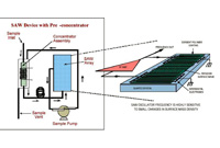 Sutface Acoustic Wave Sensing Technology